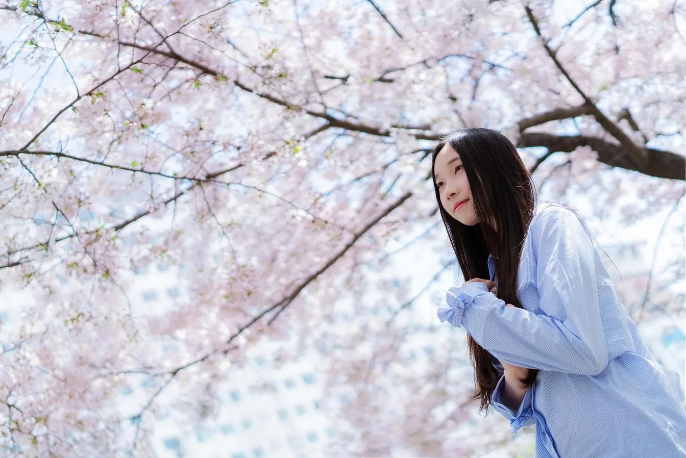 Bambi밤비 – NO.106 Lacerta Photography [50P]插图1
